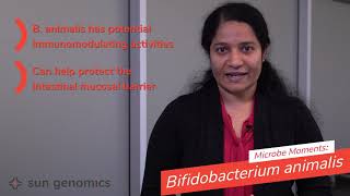 Microbe Moments Bifidobacterium animalis  Sun Genomics [upl. by Asha233]