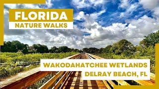 Nature Walk 4k Wakodahatchee Wetlands  Delray Beach FL [upl. by Nomaj]