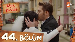 Ateş Kuşları 44 Bölüm atvturkiye [upl. by Notak]