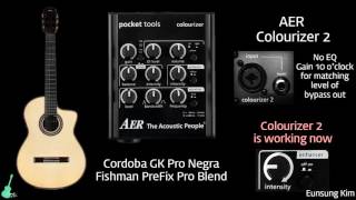 AER Colourizer 2 with Cordoba GK Pro Fishman Prefix Problend [upl. by Xer]