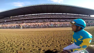 GoPro Feature American Pharoahs Belmont Stakes [upl. by Whittaker499]