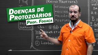 Biologia  Doenças de Protozoários [upl. by Neirod]