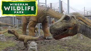 Dinosaurs and full tour of Wingham Wildlife Park 2024 [upl. by Eenwahs]