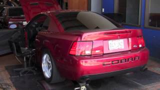 Cobra Dyno  2004 SVT Mustang Whipple Supercharged [upl. by Aeuhsoj268]