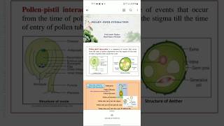 Pollen  Pistil Interaction  BSc 5th sem NEP Botany unit2 Notes  Jammu University [upl. by Nananne9]