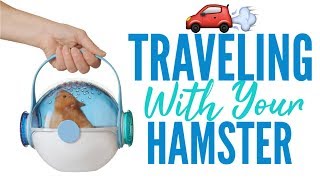 Traveling With Your Hamster [upl. by Lazarus243]