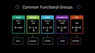 Functional Groups  Organic Chemistry [upl. by Armstrong]