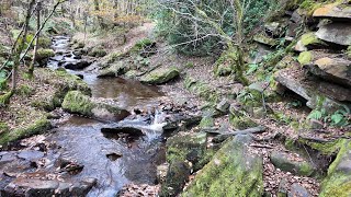 Meltham Royd Edge Clough walk 1 Nov 24 [upl. by Hymie]