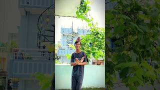 Timi Rw Ma Jam Maya 💐 ShamrajMagar Buba PaMiCreation dance youtubeshorts [upl. by Halford]