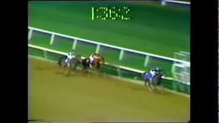 1979 Meadowlands Cup  Spectacular Bid [upl. by Vasti]