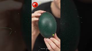 💢கடைசி வரை பாருங்க💥😱  3 different eggs  facts shorts food tamilfacts [upl. by Faline]