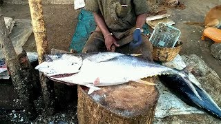 Amazing tuna fish cutting in chennai fish market in india [upl. by Carolee]