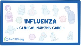 Influenza Clinical Nursing Care [upl. by Lunnete345]