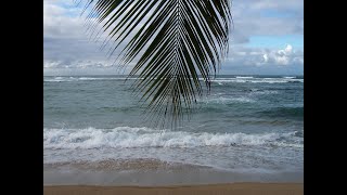 bruit de la mer relaxant musique douce belle plage pour être en paix et se relaxer [upl. by Pierson]