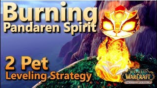 Burning Pandaren Spirit Fire Spirit 2 Pet Leveling Guide Warcraft Pet Battle [upl. by Luapnhoj492]