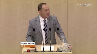 Peter Wurm  Pensionsanpassungsgesetz 2019  22112018 [upl. by Wystand773]