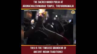 The Sacred Nandi Pooja at Arunachaleshwarar Temple Tiruvannamalai [upl. by Irovi]