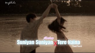 Suniyan Suniyan x Tere Naina Mashup Slowed Reverb  Harrykahanhai  Lastest Punjabi Mashup 2024 [upl. by Acile]