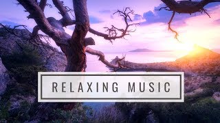 Relaxing Music Manifesting Happiness Harmony amp Inner Peace  Dissolve Negative Thoughts amp Emotions [upl. by Stefanie]