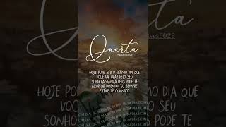 bomdia gratificante music frases mensagem grata gratidao [upl. by Atinrahc]