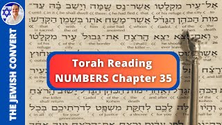 Numbers Chapter 35  Torah Reading in Hebrew with English Translation  TORAH STUDY [upl. by Andert]