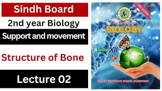 structure of bone  support and movement  class 12 biology Sindh board New book [upl. by Assyram]