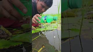 Unbelievable plastic Bottle Hook Fishing Techinques🐬 Bottle Hook Fishing challenge 2024 shorts [upl. by Ane]