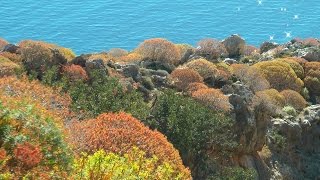 GREECE colourful springtime in Crete hdvideo [upl. by Margret]