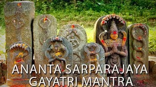 Ananta Sarparajaya Snake Gayatri Mantra  Must Listen to Neutralize Kala Sarpa Dosha amp Naga Dosha [upl. by Kaczer]