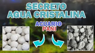 El SECRETO del AGUA CRISTALINA PLANTAS ACUATICAS en ACUARIO PANI en PUEBLA [upl. by Starling]