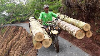 Extreme OffRoad Bikes Moving Tons of Logs in Mountain [upl. by Atirac]