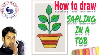 How to draw SAPLING IN A TOB  NURSERY CLASS [upl. by Dorothee]