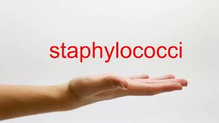 How to Pronounce staphylococci  American English [upl. by Jacki]