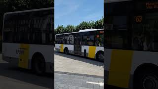 De lijn in Maastricht bussen [upl. by Quince]