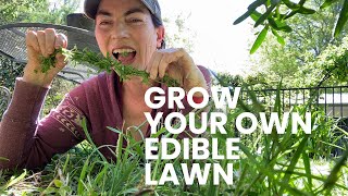 DANDELIONS CLEAVERS SOWTHISTLE and CLOVER are tasty edible weeds that grow for free [upl. by Damales41]