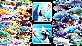 Hungry Shark Evolution vs World  All 41 Sharks Unlocked Buzz [upl. by Anauq570]