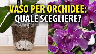 Vasi per Orchidee Quale Scegliere [upl. by Letnahs]