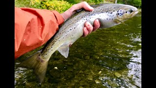 East Outlet Moosehead Lake Maine Part 2  Fly Fishing for Salmon [upl. by Relda]