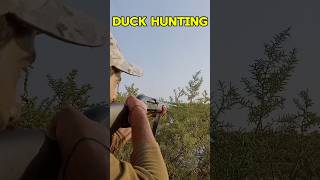 12 Gauge Shotgun hunt youtubeshorts HuntingSeason WildlifeHunting HuntingTips 12gaugeshotgun [upl. by Allemrac]