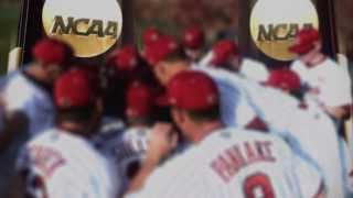 2014 South Carolina Baseball Intro [upl. by Derrej]