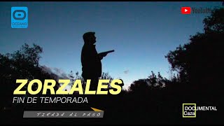 Tirada de zorzales al paso Documental donde trataremos cuestiones interesantes sobre el zorzal [upl. by Zeni]