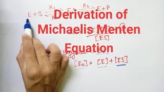 Derivation of Michaelis Menten Equation [upl. by Nosloc]