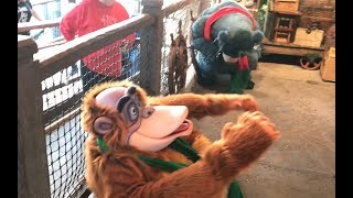 Disney World FAIL Huge Rat ruins meet and greet at Animal Kingdom [upl. by Minnie]