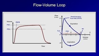 Pulmonary Function Tests PFT Lesson 2  Spirometry [upl. by Adorne205]