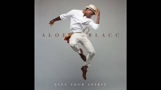 Aloe Blacc The Man High Pitched [upl. by Aihsema]