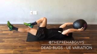 Dead Bugs Upper Extremity Variation [upl. by Venator]