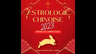 Astroguidance chinoise 2023  Lapin deau  enfin un peu de douceur  12 signes [upl. by Werbel]