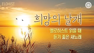 엘로히스트 읽을 때 듣기 좋은 새노래 1│2024 [upl. by Aliek185]