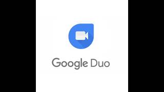 Google Duo  Ingoing Call [upl. by Cheslie]