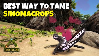 How to Find and Tame Sinomacrops  Ark Survival Evolved [upl. by Magbie]